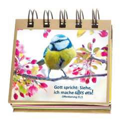 Haftnotizen-Set - Jahreslosung 2026 - Vogel 