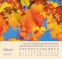 morepic-11