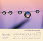 morepic-12
