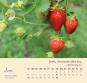 morepic-7