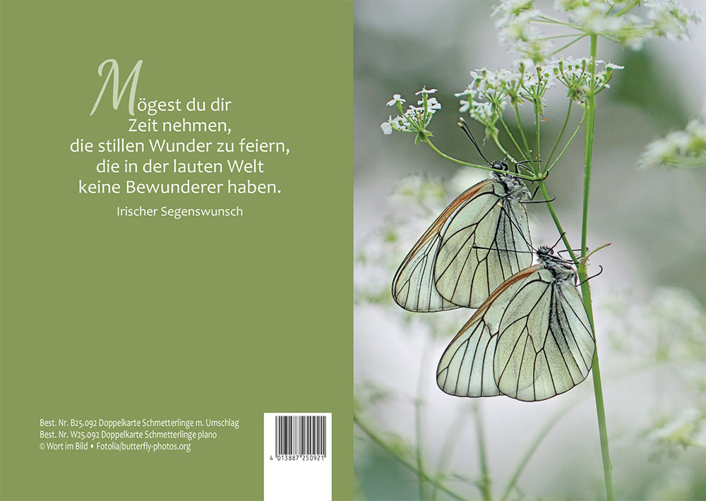 Seelenfarben Puzzle Kostenlos Seelenfarben Puzzle Kostenlos
